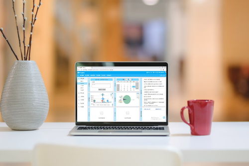 erp企業管理軟件 進銷存管理