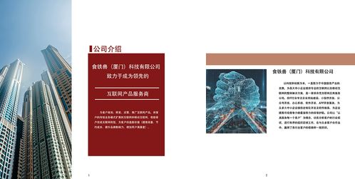 網(wǎng)絡(luò)科技公司產(chǎn)品項(xiàng)目及企業(yè)文化宣傳冊(cè) 紅色調(diào)